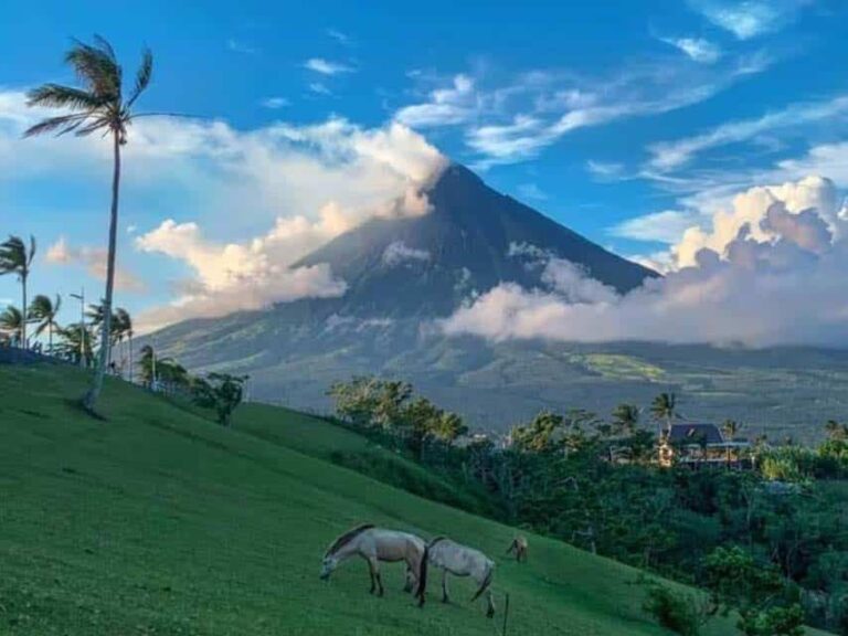 Manila-to-Legazpi-8
